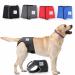 Functions for bitches 2.0 - dog diapers made of high -quality perforated neoprene for an optimal air exchange - dog diapers for male without the annoying threading of the rod (XS -L blue)