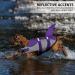 Queenmore Dog Life Jacket - Adjustable High Buoyancy & Durable Rescue Handle for Medium Dogs - Purple Shark Design - Buy Online on GoSupps.com