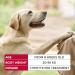 Beaphar | FIPROtec Spot-On for Large Dogs (20 40kg) | Kills Fleas & Ticks | Vet Strength Treatment | 6 Pipettes - Buy Online on GoSupps.com
