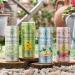Folkington's Rhubarb & Apple Press 12-Pack Sparkling Soft Drink - Ideal Cocktail & Gin Mixer | 12 x 250ml - Buy Online on GoSupps.com