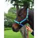 TEKE Adjustable Horse Halter - Heavy Duty Nylon, Anti-Rub Padded, Blue Full Size - Buy Online on GoSupps.com