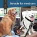 Flywave Strap-On Dog Car Belt | Adjustable Reflective Dog Safety Harness for All Breeds | Secure Buckles & Clips Universal Fit for All Auto Types - Buy Online on GoSupps.com