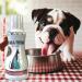 Petdentist Natural Mint GUM & FRESH Dental Water Additive Mouthwash- Oral Dental Care for Dogs & Cats Easy Plaque Off Teeth Cleaning Fresh Breath and Gum Health 500ml Bottle with Measure cap - Buy Online on GoSupps.com