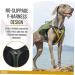 OneTigris CAMELUS Dog Backpack for M/L Size Dogs - Tear-Resistant Hiking & Camping Gear in Ranger Green - Buy Online on GoSupps.com