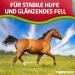 EGGERSMANN Profi Biotin Plus 1 kg - Premium Supplementary Horse Feed with Biotin & Zinc for Skin Fur & Hoof Health - Ideal for Eczema & Hoof Issues - International Shipping Available - Buy Online on GoSupps.com