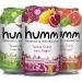 Hopical Paradise Variety Pack - Humm Kombucha - 2 Billion Probiotics for Gut Health - Hopped Grapefruit, Coconut Lime, Pomegranate Lemonade (12 Pack) 12 Fl Oz (Pack of 12)