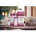 Dragon's Blood Fragrance Oil 4 oz - Premium Perfume & Skin Oil for DIY Candles Bath Bombs Body Butters & More - Buy Online on GoSupps.com
