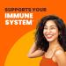 Sundown Naturals Echinacea 400 mg - 100 Whole Herb Capsules for Immune Support - Buy Online on GoSupps.com