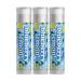 Blueberry Lemon Lip Balm - Set of Three