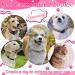 Natiform Two Sided Personalized Pet Tag for Dogs and Cats - Custom Engraved ID with Cute Glitter Design (Pink) - 1 Pack - Buy Online on GoSupps.com
