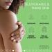Advanced Clinicals Aloe Vera Lotion - Sun Burn Recovery Cream | Vitamin C & Hyaluronic Acid Moisturizer | 16 oz Skin Repair Body Cream for Sun Damaged Skin - Buy Online on GoSupps.com