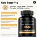 Vital Vitamins Biotin Complex Capsules + NAD+ Supplement - Buy Online on GoSupps.com