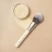 HALEYS Brilliant Powder Brush - Soft, Streak-free, Perfect Blending - Buy Online on GoSupps.com