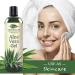 Green Leaf Naturals Organic Aloe Vera Gel - 100% Pure | Natural Skin Care for Face, Hair & Sunburn Relief | Daily Moisturizer & Aftershave Lotion - 8oz - Buy Online on GoSupps.com