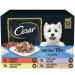 CESAR Senior 10+ Deliciously Fresh Wet Dog Food Pouches Aged Dogs Mixed Selection in Jelly Suitable for Senior Dogs Aged 10+ Pack of 4 (4 x 12 Pouches x 100 g)
