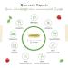 Quercetin 500 mg - Vegan Capsules - 120 Count - Premium Quality Japanese Line Tree Flower Extract - Lab Tested - 4 Month Supply - High Dose - Buy Online on GoSupps.com
