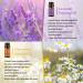 Yethious Organic Chamomile Lavender Essential Oil Set - 2 Pack Aromatherapy Oils for Diffuser - Buy Online on GoSupps.com