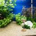 Harz Hai-Warnschild Fish Tank Ornament - Funny Aquarium Decoration & Landscape for Underwater & Fish Pond (White) - Buy Online on GoSupps.com