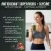 PEScience Greens Powder Superfood with Natural Chlorophyll Reishi & Turkey Tail Mushroom Powders Freeze-Dried Kale Spinach Broccoli Sprouts Berry Flavor 30 Servings - Buy Online on GoSupps.com