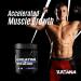 100% Pure Micronized Creatine Monohydrate Powder Unflavored - 60 Servings (300g) - Boost Performance & Recovery - International Shipping - Buy Online on GoSupps.com