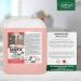 Buy Lorito Sanifix 10L Concentrate - Powerful Sanitary Cleaner & Limestone Remover for Shower Sink & Bathroom - Ideal for Ceramic Glass & Plastic - Buy Online on GoSupps.com