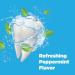 Chomp Toothpaste Tablets - Peppermint Whitening 60 Count | Eco-Friendly Travel-Friendly Vegan - Buy Online on GoSupps.com