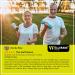 WELLGRADE PRO Hemp Cream - Natural Hemp Extract for Knee, Joint, and Back Discomfort - Made in USA - 4 Fl Oz - Buy Online on GoSupps.com