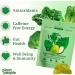 Plant People WonderGreens Veggie Gummies Super Greens with Probiotics Multivitamin Support Gummy for Wellbeing Energy Immune and Gut Health Green Apple Flavor (60 Count) 60 Count (Pack of 1) - Buy Online on GoSupps.com