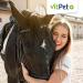Vitpet+ Magnesium Citrate for Horses | Premium 500g Powder for Muscle & Nervous System Support with Dosing Spoons - Buy Online on GoSupps.com