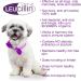 Leucillin Antiseptic Skin Care Dropper 50ml x 4 Bottles for Dog Cat Bird Reptile Horse Pet - Buy Online on GoSupps.com
