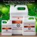 100% Pure Tung Oil - 32 oz (946ml) for Wood Finishing & Protection - International Shipping Available - Buy Online on GoSupps.com