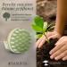 Premium Bambua Scalp Massage Brush - Anti-Scales & Head Massager for Showering - Includes Healthy Scalp eBook (Green) - Buy Online on GoSupps.com