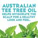 OGX Tea Tree Mint Shampoo - Nourishing Scalp Treatment with Peppermint Oil - 13 fl oz - Buy Online on GoSupps.com