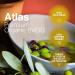 Atlas 750 mL Organic Cold Press Moroccan Extra Virgin Olive Oil | Polyphenol-Rich, Unprocessed & Trusted by Michelin Star Chefs | 25.5 Fl Oz (Pack of 1) - Buy Online on GoSupps.com