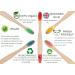 Bamboo Toothbrushes for Adults - BPA-Free Biodegradable Eco-Friendly Family Pack (5 Rainbow Colors) - Plastic-Free Packaging - Buy Online on GoSupps.com