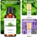 100% Pure Peppermint Extract - Refreshing Mint Oil Flavor for Focus | 30ml + Bonus Travel Size 10ml Peppermint & 10ml Lavender Roll-On Essential Oils - Buy Online on GoSupps.com