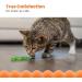 Catstages Orkakat Wiggle Worm Dental Catnip Cat Chew Toy - Buy Online on GoSupps.com
