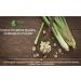 Organic Lemon Grass Powder 3.5 oz - USDA Certified, Non-GMO, Pure Ceylon Premium Quality - Buy Online on GoSupps.com