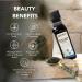 Hesthetic Cold Press Black Cumin Seed (Kalonji) Oil (250ML) 250 ml (Pack of 1) - Buy Online on GoSupps.com
