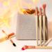 EcoTools Elements Limited Edition Fiery Eye Professional Eye Makeup Brush Set 6 Piece Set Orange - Buy Online on GoSupps.com