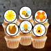 48 Cute Bumble Bees Cupcake Toppers Mini Bumble Bee Edible Cake Decorations 3cm Bee Cake Decorations Bees Birthday Cake Decorations Wedding Cake Decorations Edible Butterfly Cake Decorations - Buy Online on GoSupps.com