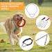 HAPPY HACHI Double Dog Heavy Duty Steel Chain Lead - 2 Dogs Leash S-3.0mm*50cm | Durable & Strong Walking Solution - Buy Online on GoSupps.com