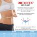 ORTONYX Back Brace for Men & Women - Lumbar Support Belt for Herniated Disc Sciatica & Scoliosis - Breathable Neoprene-Free Fabric - M/L (31.5"-39.4") - Pain Relief & Comfort - Buy Online on GoSupps.com