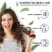 Nettle Shampoo for Healthy Hair - Regulates Sebum Reduces Dandruff & Soothes Scalp Irritation - 200ml | International Shipping Available - Buy Online on GoSupps.com