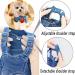 Teilybao Pet Denim Jumpsuit Costume | Fashionable Blue Jean Jacket Sling for Small to X-Large Dogs & Cats - Buy Online on GoSupps.com