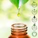 Organic Rosemary Oil 100% Pure - 30ml Essential Oil for Aromatherapy & Cosmetic Use | Laboratory Tested - Buy Online on GoSupps.com