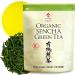 Green Tea Loose Leaf Sencha Bulk JAS Certified Organic Japan 500g Bag YAMASAN
