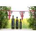 Hillfarm Oils Rapeseed Oil Extra Virgin Cold Pressed - 750 ml - Buy Online on GoSupps.com