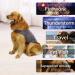 cattamao Comfort Dog Anxiety Relief Coat Dog Anxiety Calming Vest Wrap Thunder Shirts Jacket for XS Small Medium Large XL Dogs (XS Gray) XS Gray - Buy Online on GoSupps.com