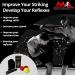 Boxing Reflex Ball Headband Set - MMA Training Equipment for Home Workout - 3 Balls, 3 Difficulty Levels - Buy Online on GoSupps.com